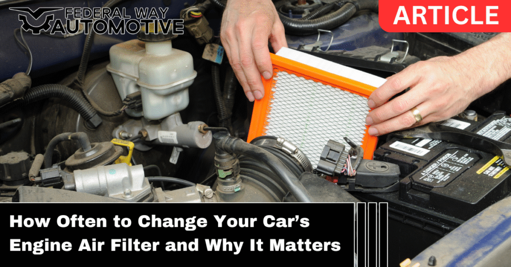 Engine Air Filter