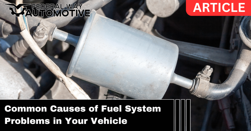 Fuel System Contamination