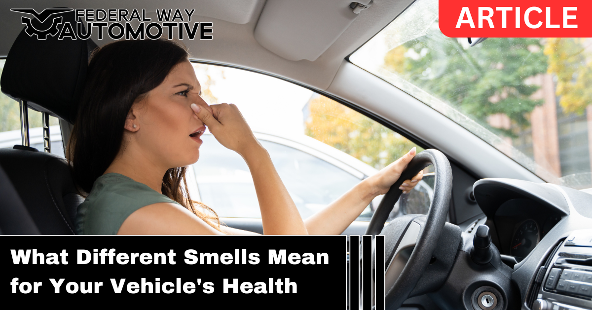 What different smells mean for your vehicle