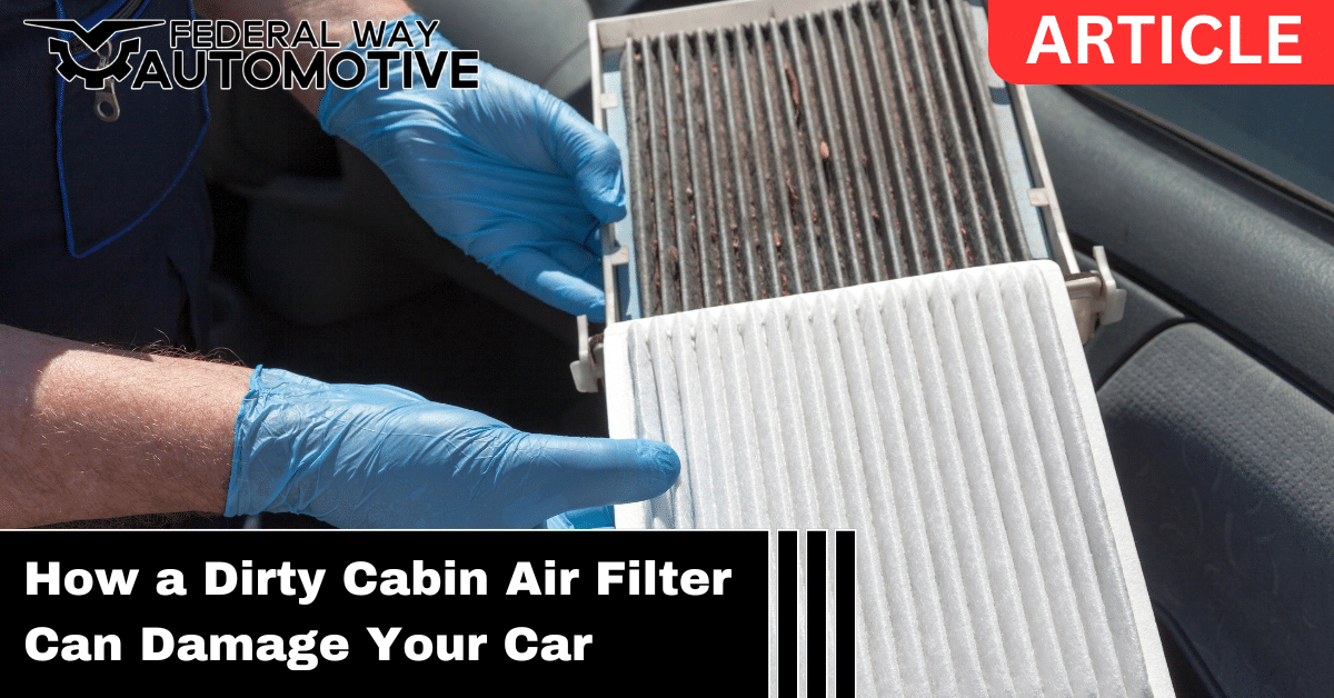 Dirty Cabin Air Filter